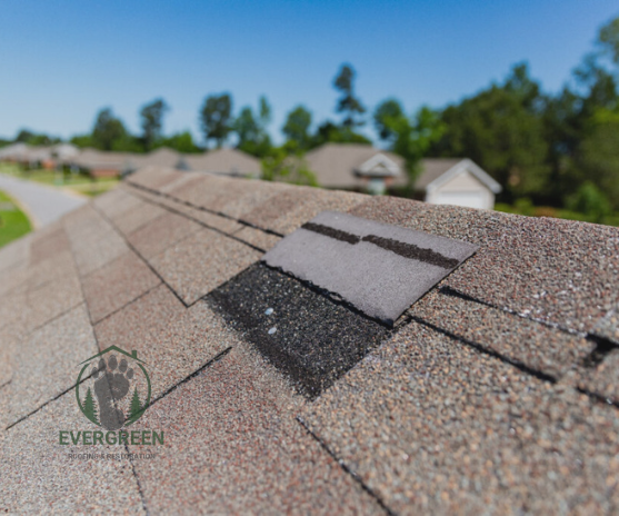 shingle missing tacoma evergreen