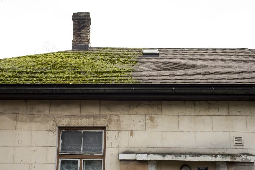 moss on roof how to remove and prevent
