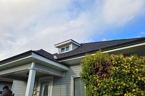 project evergreen (1)