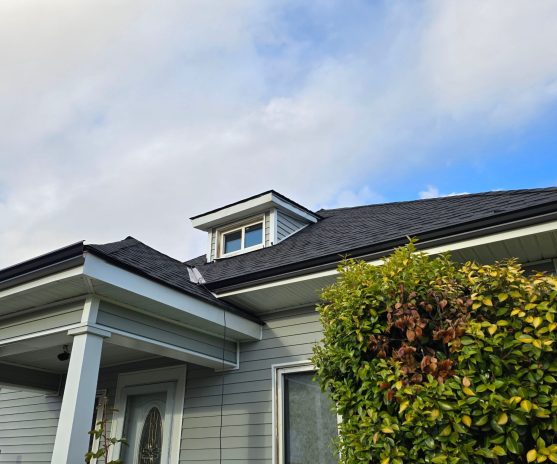 project evergreen (1)