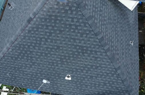 project evergreen (2)