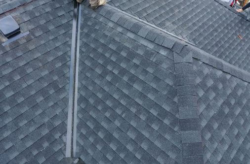 project evergreen (3)